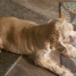 Meet your Posher, Gene